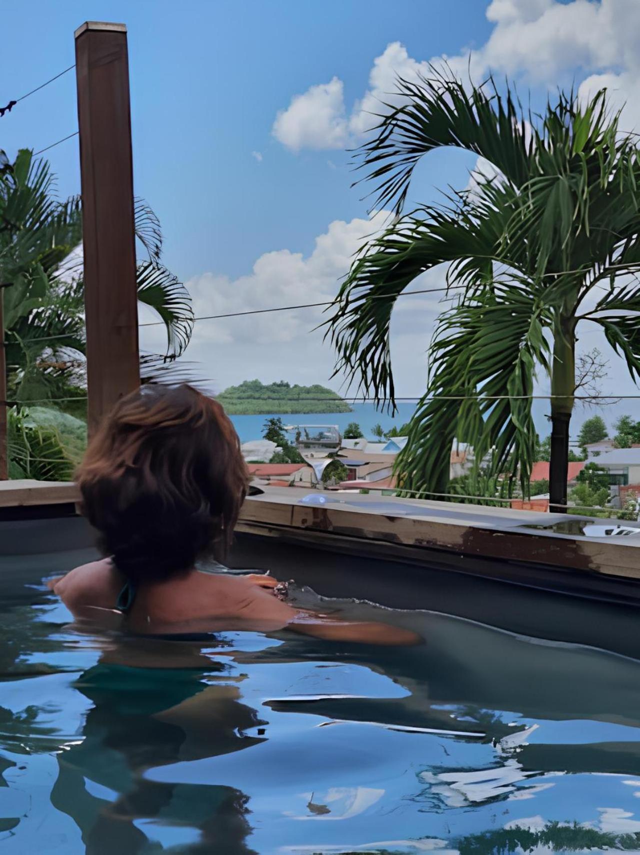 レ・トロワ・イレTerrasses Avec Vue Ilet Ramierアパートメント エクステリア 写真